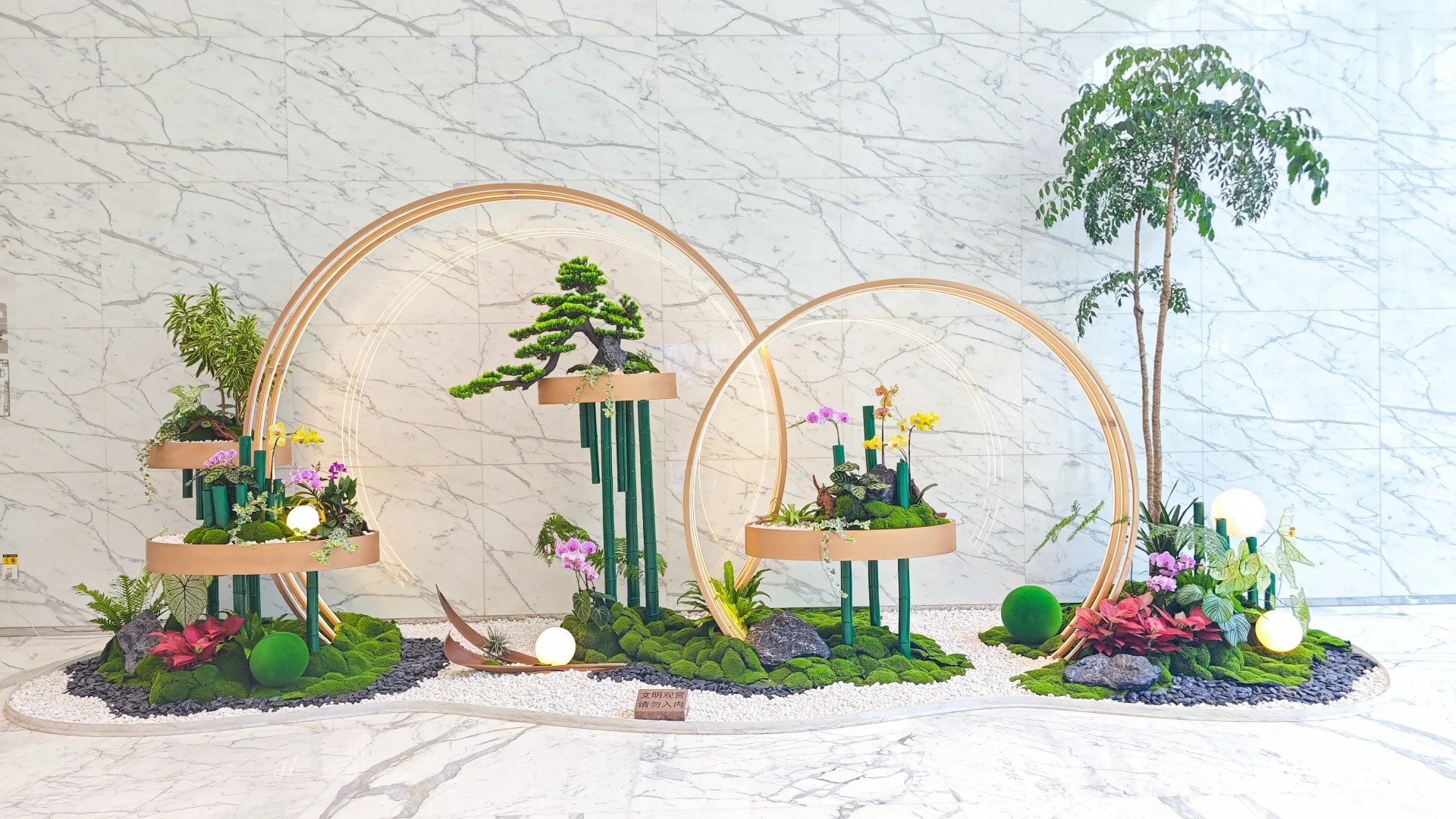 优质服务的宁波江北盆景出租，快来！