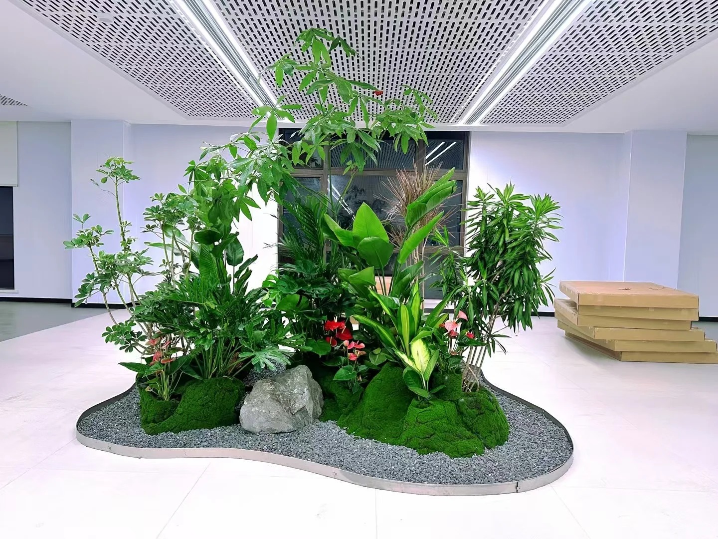 优质服务的宁波江北盆景出租，快来！